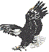 Eagle gif Image