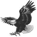  Eagle Logo Image