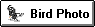 Bird Page